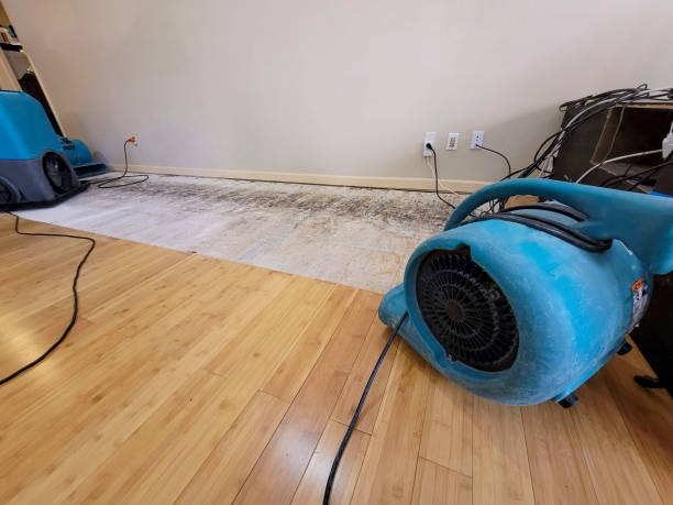 Professional Burst Pipe Water Damage technician working in Artesia Wells, TX